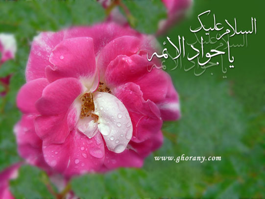 ولادت امام جواد علیه السلام 1